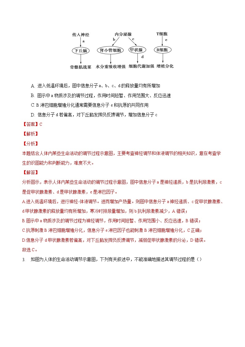 3.3 体液调节与神经调节的关系-2022-2023学年高二生物课后培优练（人教版选择性必修1）02