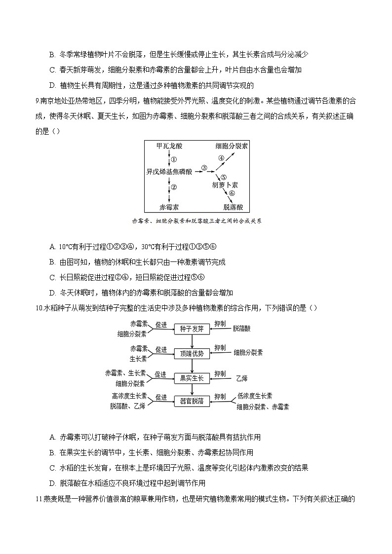 5.2 其他植物激素-2022-2023学年高二生物课后培优练(人教版选择性必修1)03