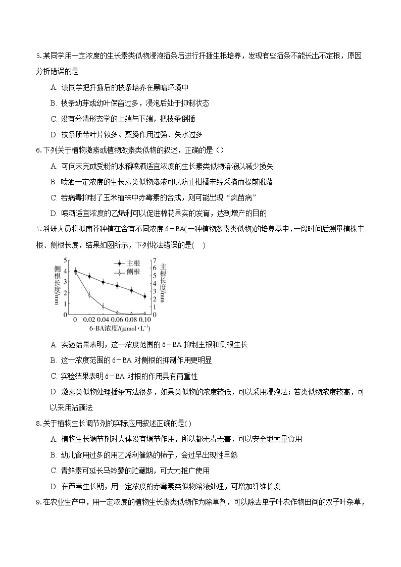 5.3 植物生长调节剂的应用-2022-2023学年高二生物课后培优练（人教版选择性必修1）02