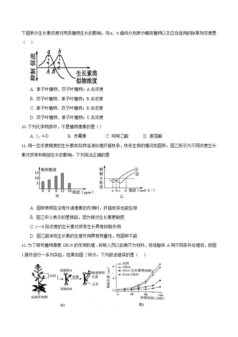 5.3 植物生长调节剂的应用-2022-2023学年高二生物课后培优练（人教版选择性必修1）03