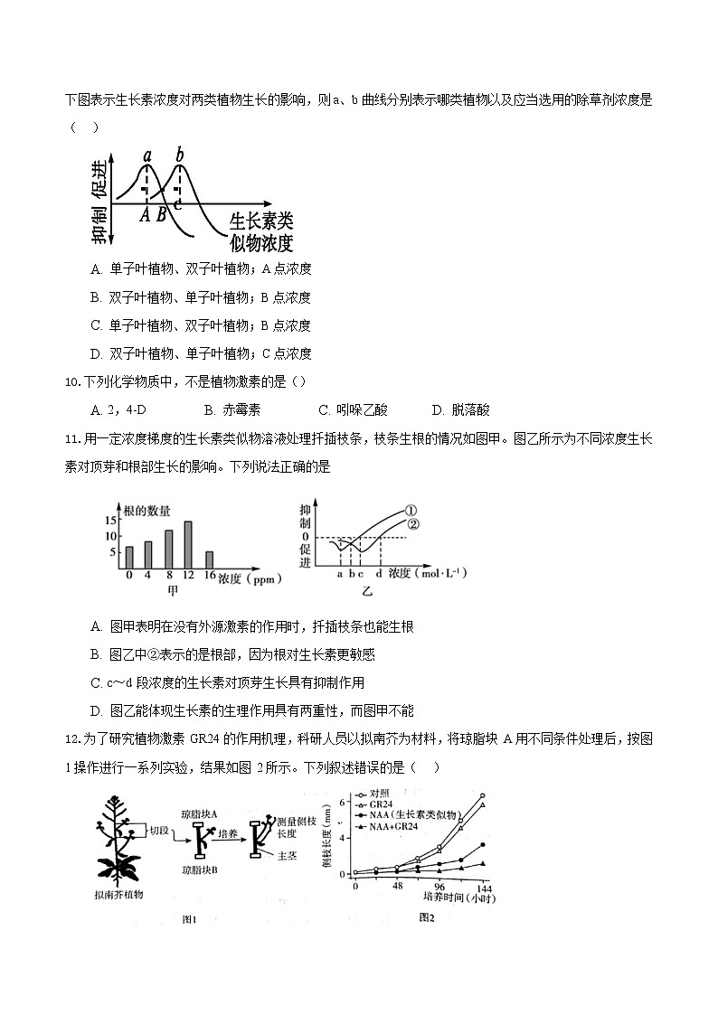 5.3 植物生长调节剂的应用-2022-2023学年高二生物课后培优练(人教版选择性必修1)(原卷版)第3页