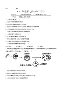 人教版 (2019)必修1《分子与细胞》第2节 细胞器之间的分工合作当堂检测题