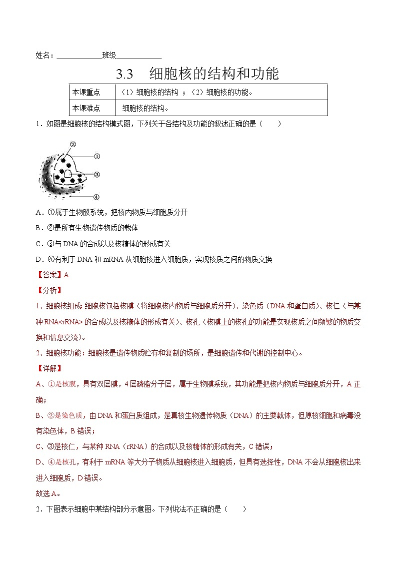 3.3 细胞核的结构和功能-2022-2023学年高一生物课后培优练(人教版2019必修1)(解析版)第1页