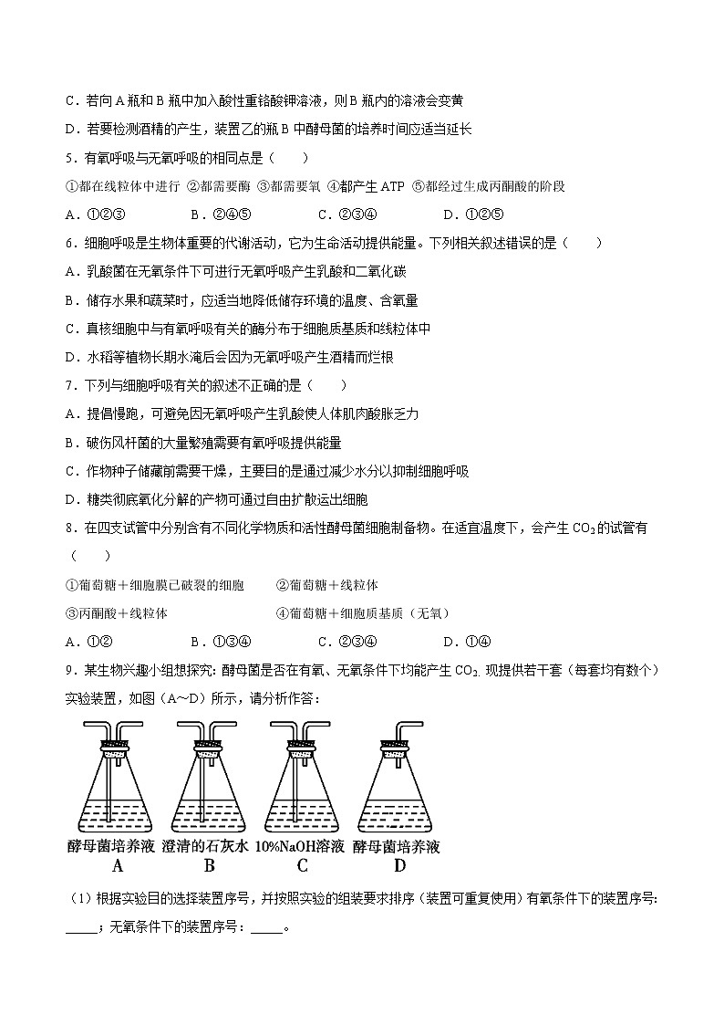 5.3 细胞呼吸的原理和应用-高一生物课后培优练(人教版2019必修1)02