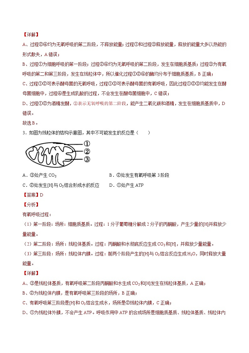 5.3 细胞呼吸的原理和应用-高一生物课后培优练(人教版2019必修1)02
