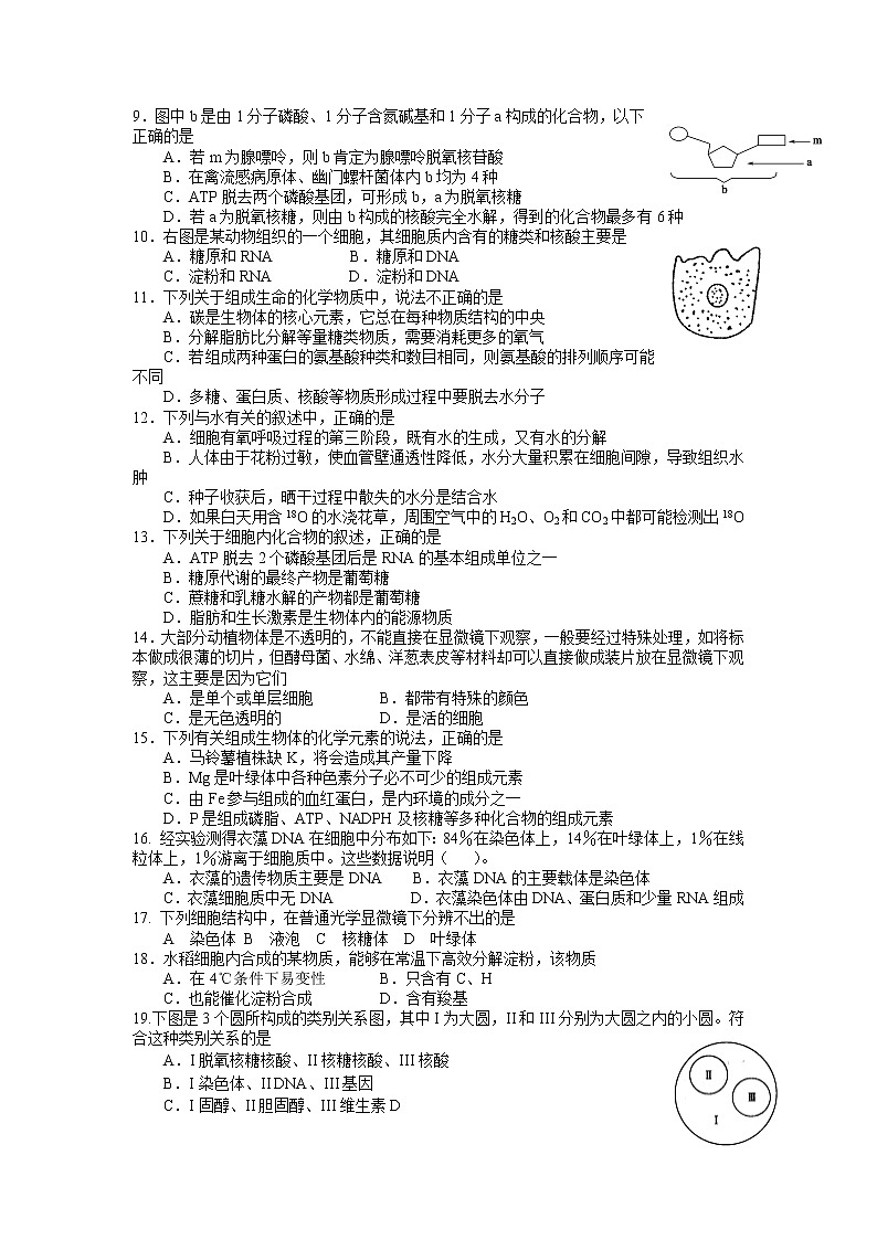 2021-2022学年江西省南昌市八一中学高二下学期期末考试生物试题含答案第2页