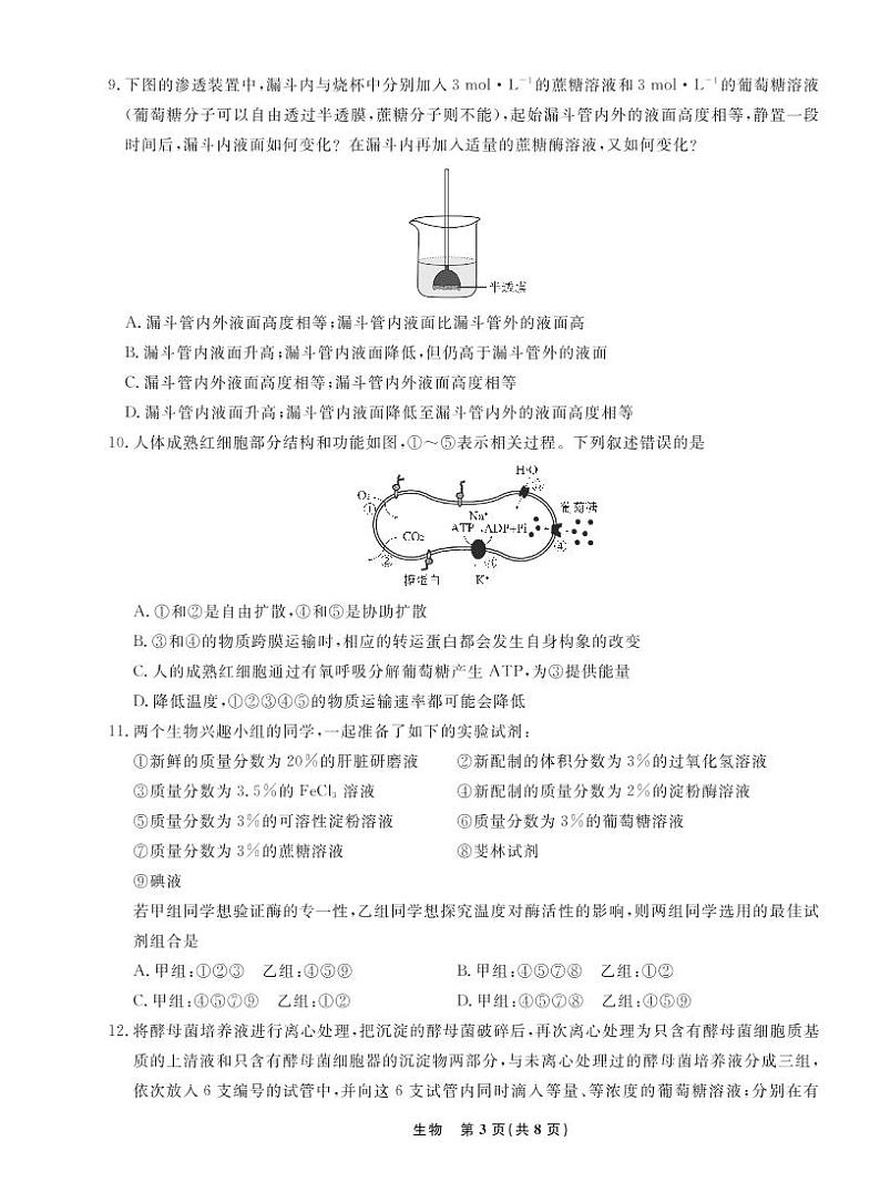 辽宁省名校联盟2022-2023学年高三上学期9月联考生物试题及答案03