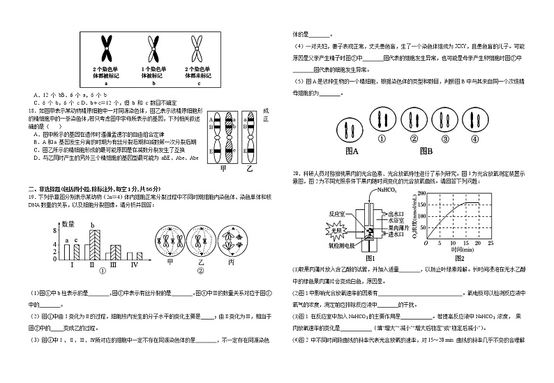 江西省金溪县第一中学2021-2022年度高一下学期第二次月考生物试卷(Word版含答案)第3页