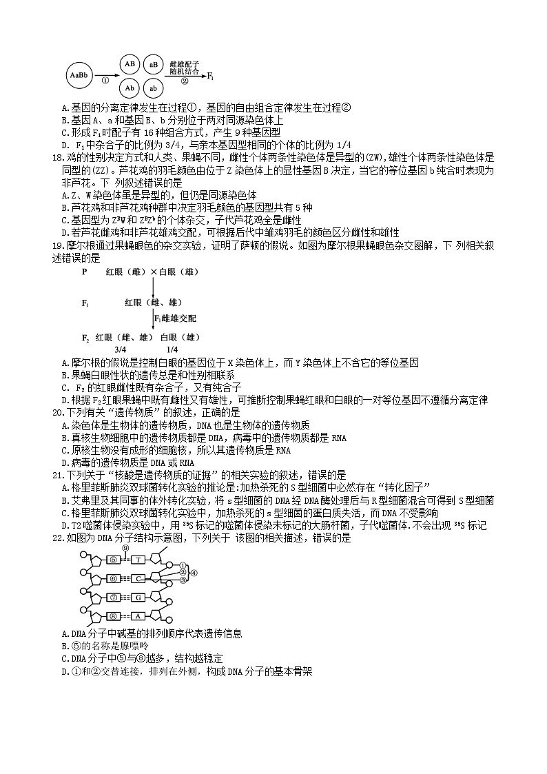 四川省绵阳市三台县第一中学2022-2023学年高二上学期入学考试生物试题(Word版含答案)03