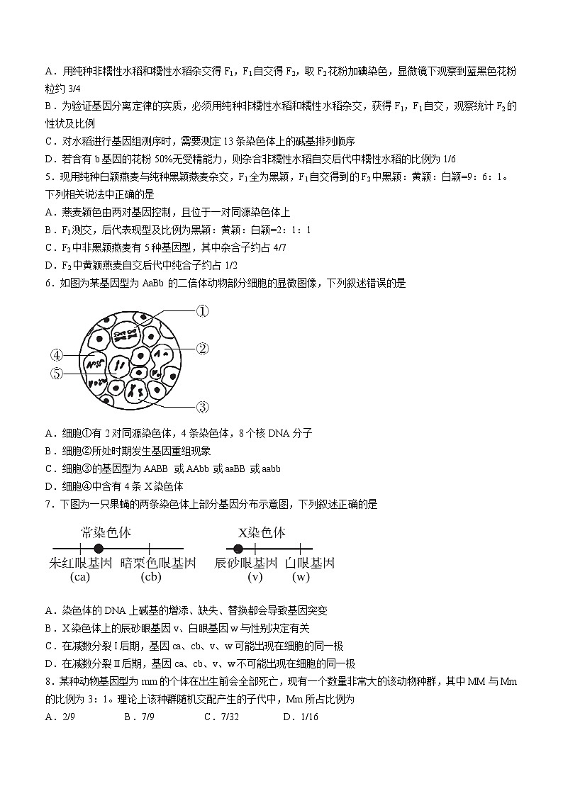 河北省沧州市沧县风化店中学2022-2023学年高二上学期开学考试生物试题(Word版含答案)第2页