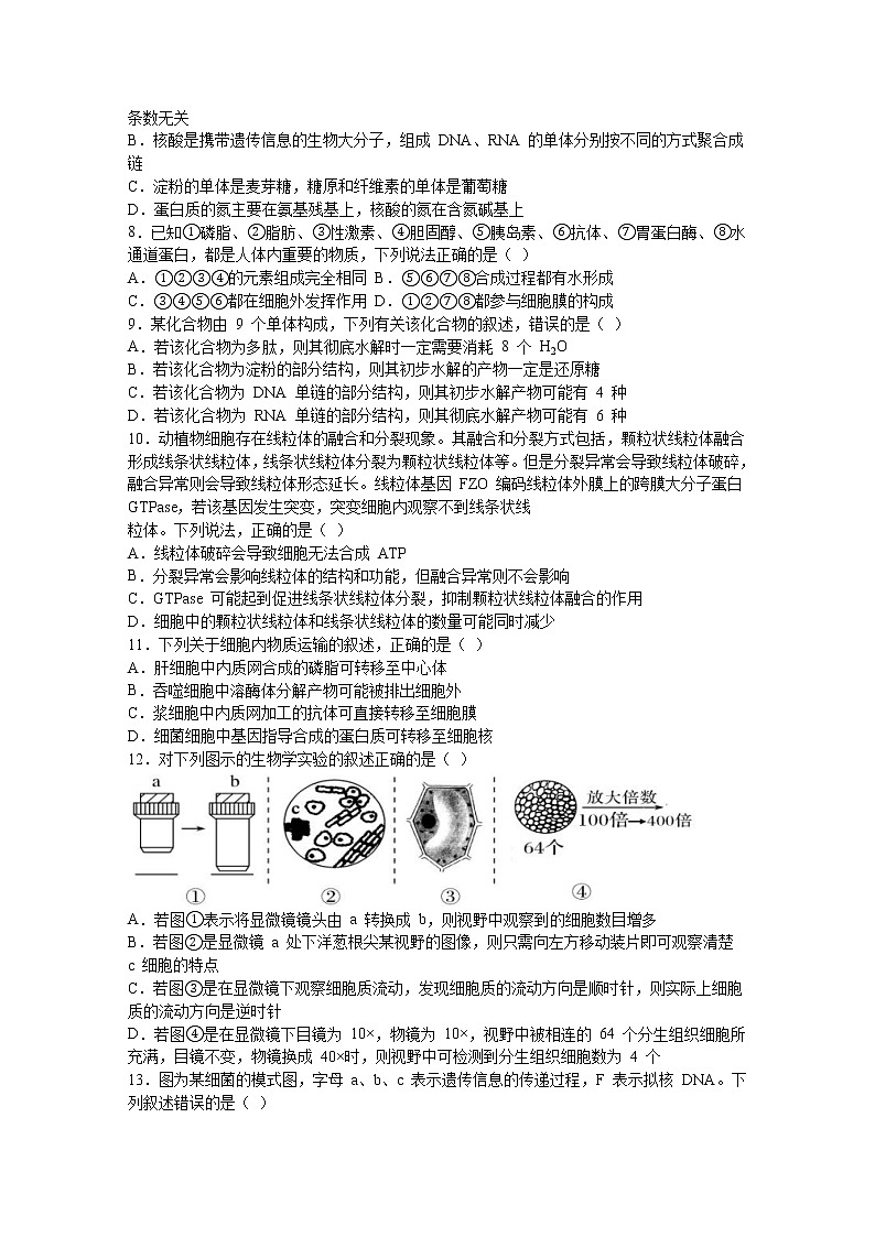 黑龙江省鹤岗市第一中学2022-2023学年高三上学期开学考试生物试题(Word版含答案)第2页