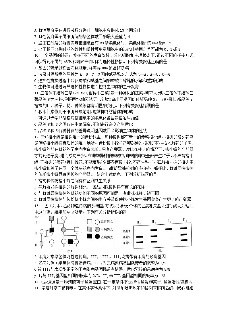 河南省焦作市2022-2023学年高三上学期开学定位考试生物试题(Word版含答案)第3页