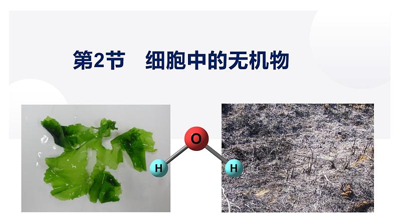 2.2 细胞中的无机物-2022-2023学年高一生物同步备课优质课件(人教版2019必修1)01