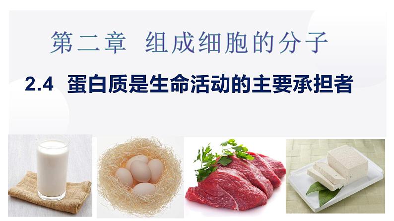 2.4 蛋白质是生命活动的主要承担者(第一课时)-2022-2023学年高一生物同步备课优质课件(人教版2019必修1)第1页