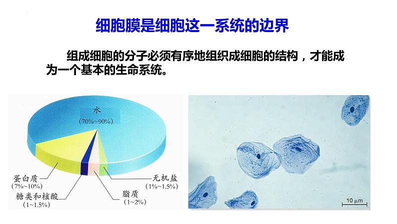 3.1 细胞膜的结构和功能-2022-2023学年高一生物同步备课优质课件(人教版2019必修1)03