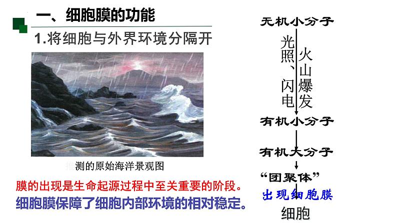 3.1 细胞膜的结构和功能-2022-2023学年高一生物同步备课优质课件(人教版2019必修1)05