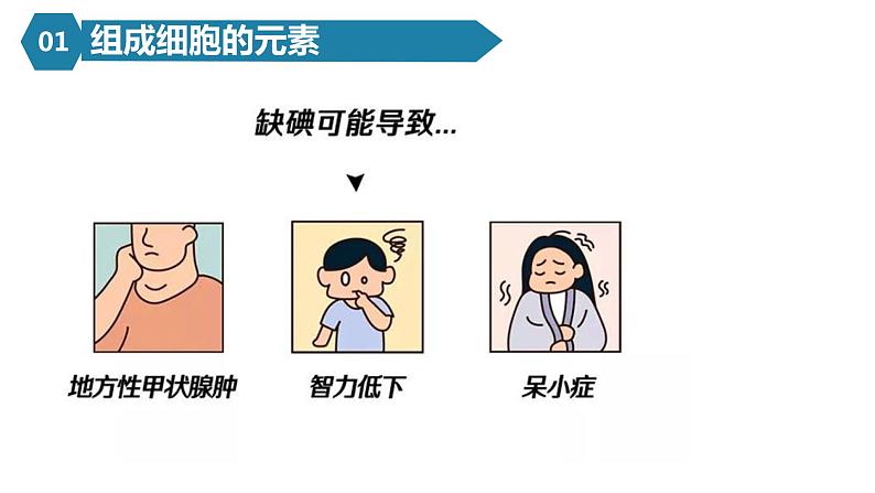 人教版高一生物必修一课件2.1细胞中的元素和化合物第6页