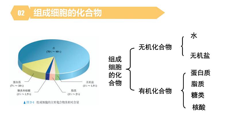 人教版高一生物必修一课件2.1细胞中的元素和化合物第8页