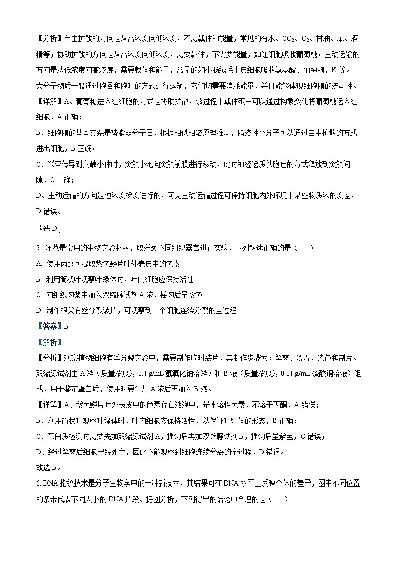 河北省省级联测2022-2023学年高三上学期第一次月考生物试题(解析版)第3页
