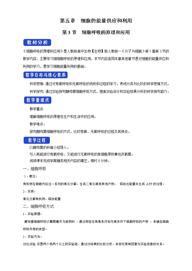 高中生物人教版必修一5.3細(xì)胞呼吸的原理和應(yīng)用教案第1頁