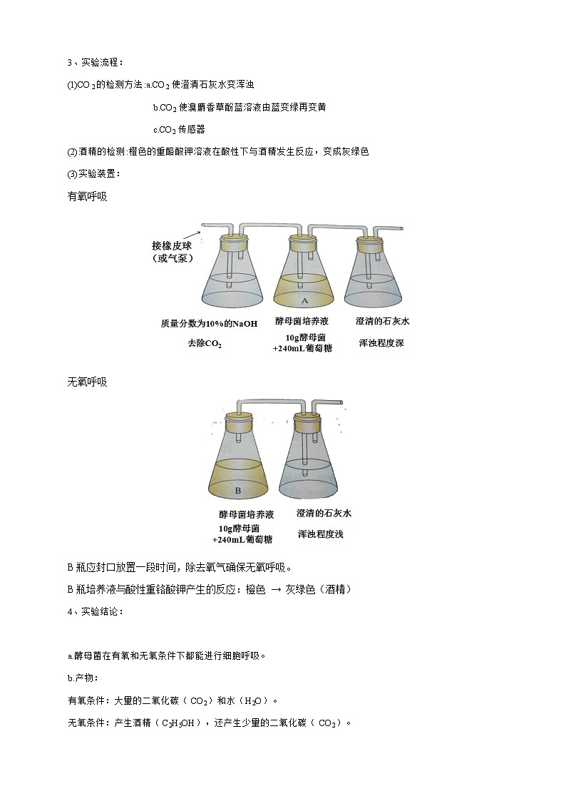 高中生物人教版必修一5.3細(xì)胞呼吸的原理和應(yīng)用教案第2頁