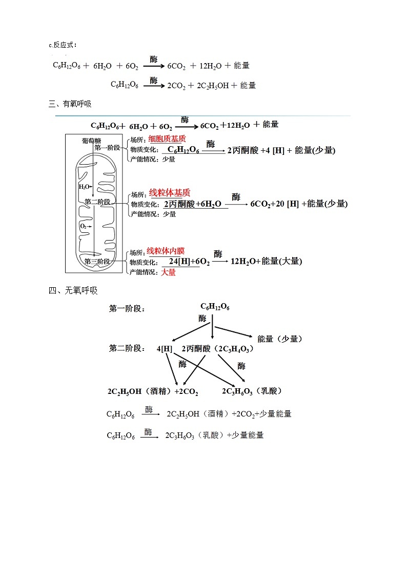 高中生物人教版必修一5.3細(xì)胞呼吸的原理和應(yīng)用教案第3頁