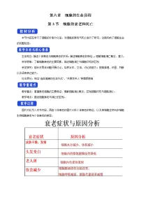高中生物人教版 (2019)必修1《分子与细胞》第3节 细胞的衰老和死亡教案