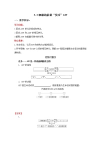 高中生物人教版 (2019)必修1《分子与细胞》第2节 细胞的能量“货币”ATP学案设计