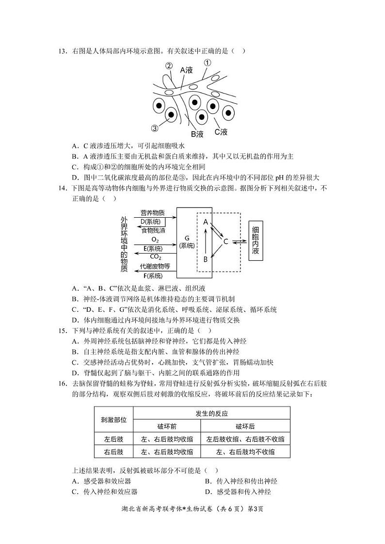 2023孝感新高考联考协作体高二上学期9月联考生物试题PDF版含答案03