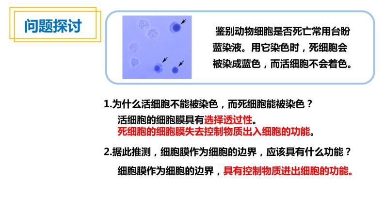 人教版高中生物高一必修一分子与细胞课件3.1细胞膜的结构和功能课件03