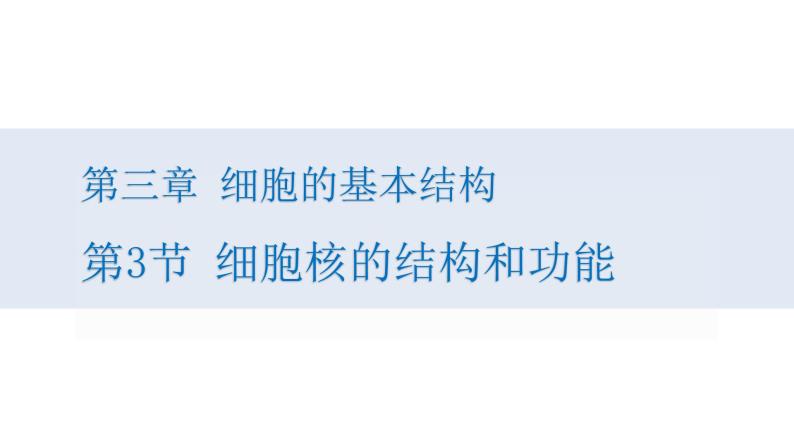 人教版高中生物高一必修一分子与细胞课件3.3细胞核的结构和功能01