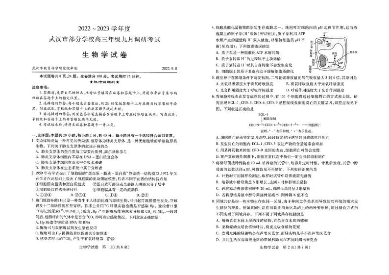 2023武汉部分学校高三上学期9月调研考试生物PDF版含答案01