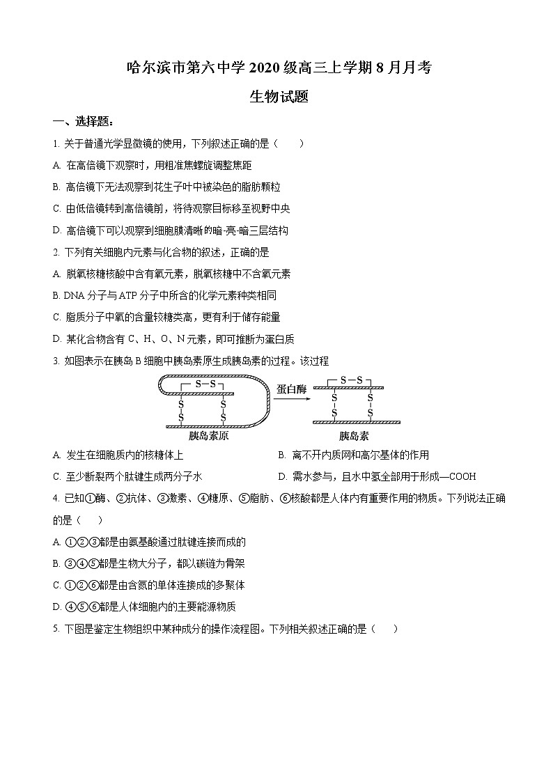 2023届黑龙江省哈尔滨市第六中学高三上学期8月月考-生物试题含答案01