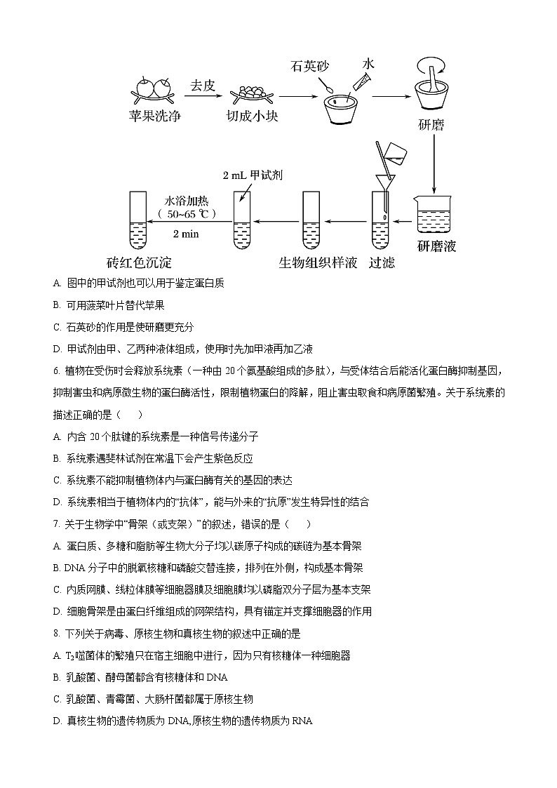 2023届黑龙江省哈尔滨市第六中学高三上学期8月月考-生物试题含答案02