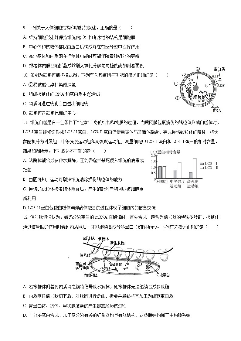 2023届黑龙江省哈尔滨市第六中学高三上学期8月月考-生物试题含答案03