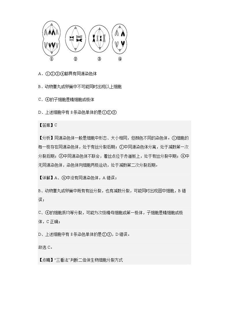 河北省石家庄市藁城区一中2021-2022学年高一5月月考生物试题含解析第3页