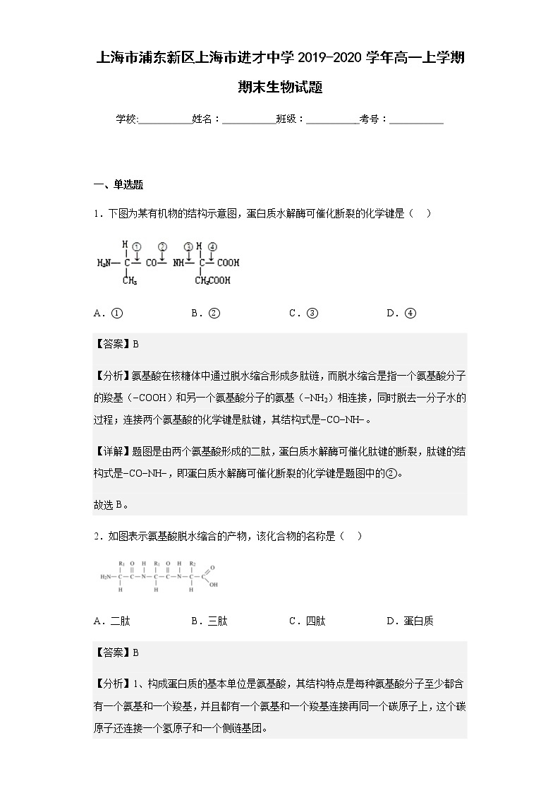 上海市浦东新区上海市进才中学2019-2020学年高一上学期期末生物试题含解析01