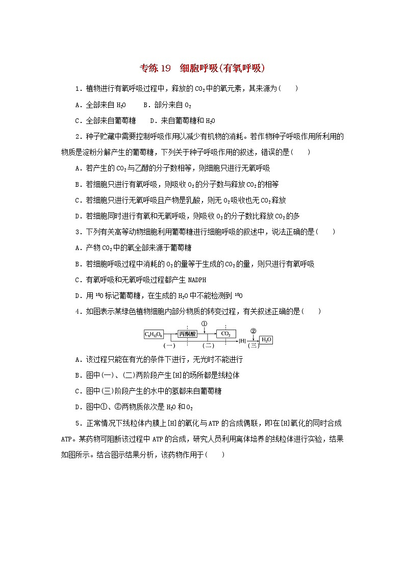2023版高考生物第一部分专题练专练19细胞呼吸有氧呼吸第1页