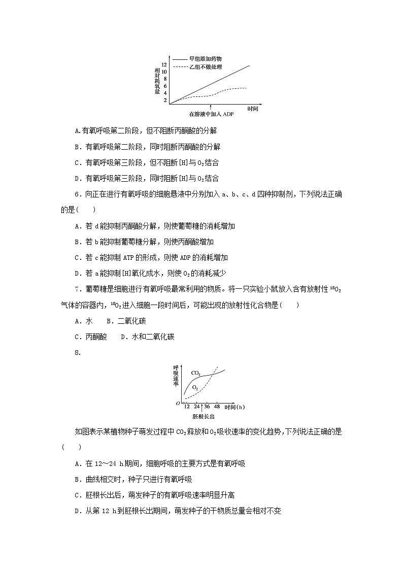 2023版高考生物第一部分专题练专练19细胞呼吸有氧呼吸第2页