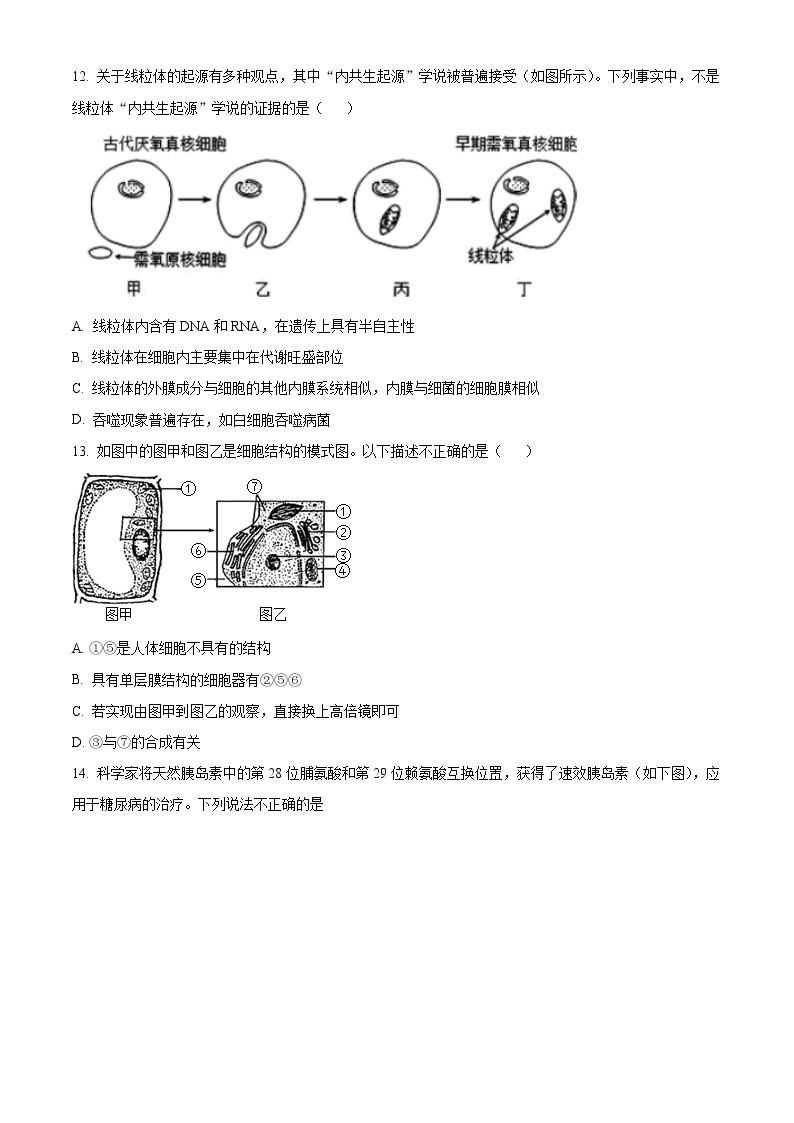 2022天津市耀华中学高一上学期期末练习生物试题含答案03