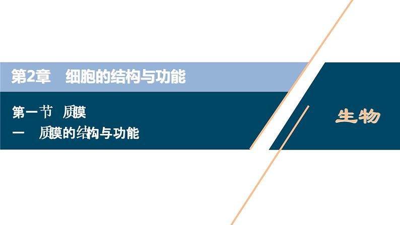 高中生物新北师大版必修1 质膜的结构与功能 课件(81张)第1页