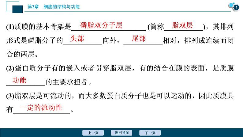 高中生物新北师大版必修1 质膜的结构与功能 课件(81张)第6页
