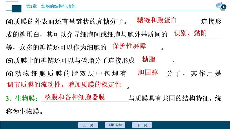 高中生物新北师大版必修1 质膜的结构与功能 课件(81张)第7页