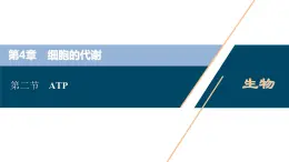 高中生物新北师大版必修1  ATP 课件（63张)