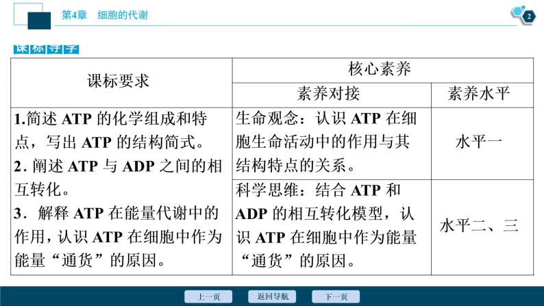 高中生物新北师大版必修1  ATP 课件（63张)03