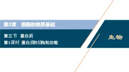 高中生物新北师大版必修1  蛋白质的结构和功能 课件（80张)