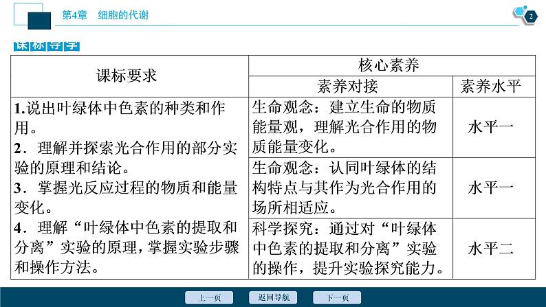 高中生物新北师大版必修1 光反应 课件(75张)03