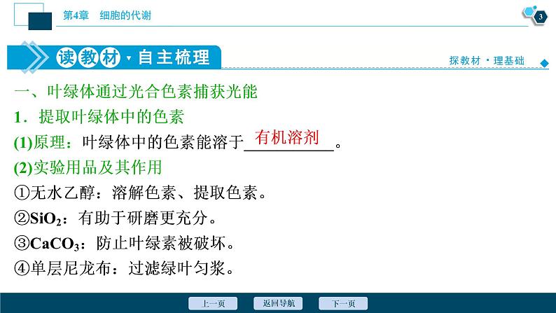 高中生物新北师大版必修1 光反应 课件(75张)04