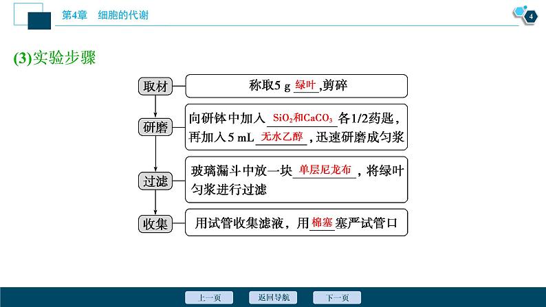 高中生物新北师大版必修1 光反应 课件(75张)05