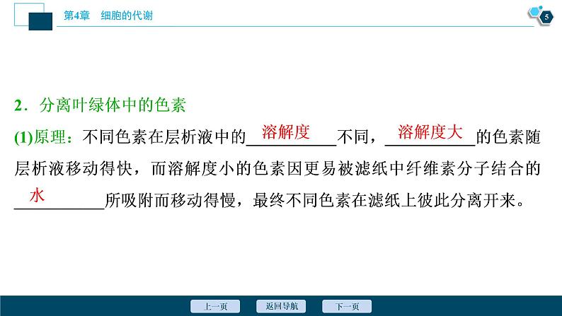 高中生物新北师大版必修1 光反应 课件(75张)06